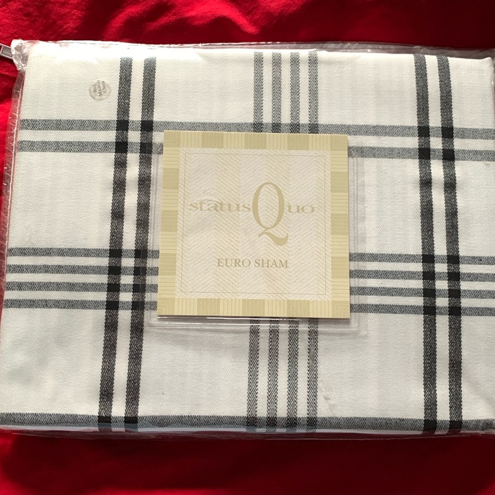 2 shams…NWT black and white Euro sham 26x26